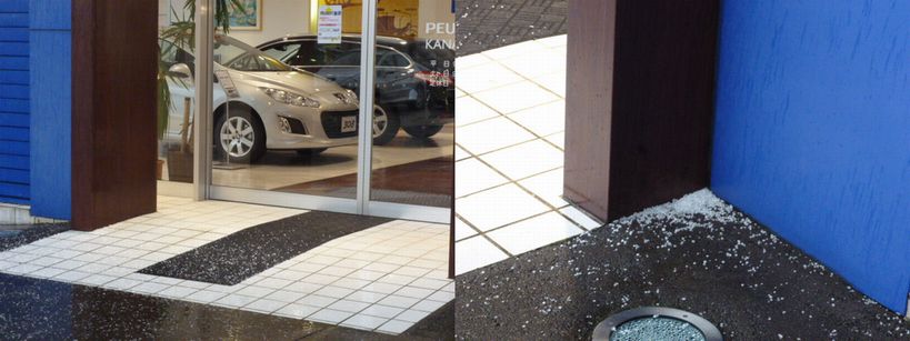 賑やかになりました♪