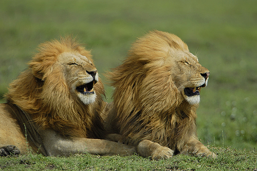 気をつけましょう