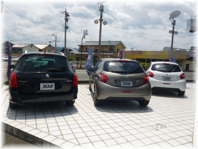 ~フェア開催中~