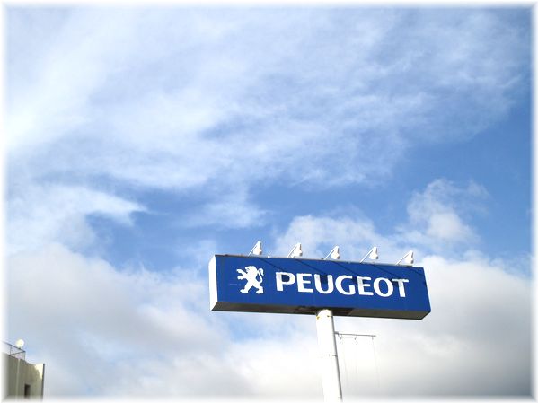 今週の試乗車情報