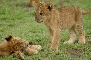 夏季休業のご案内