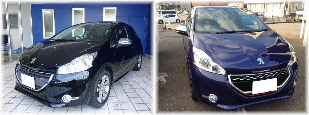 今週の試乗車情報