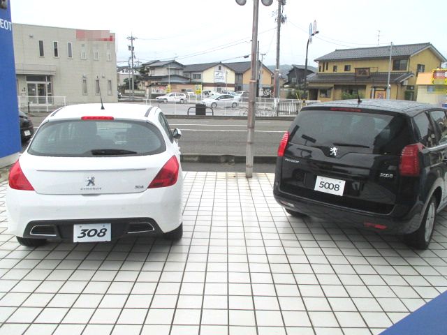 今週の展示車情報