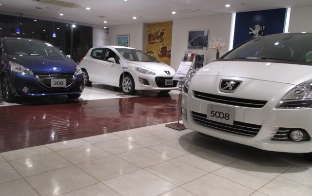 今週の試乗車&展示車情報