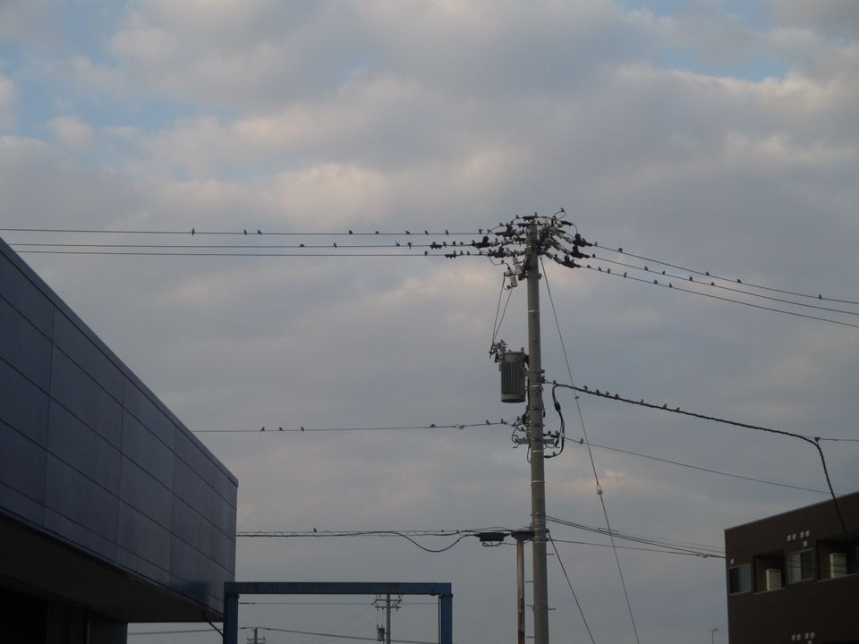 展示車入れ替わりました♪