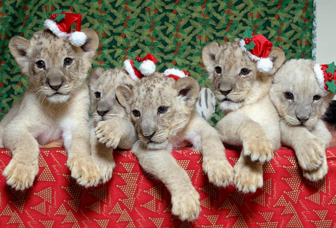 いよいよ最後です!!