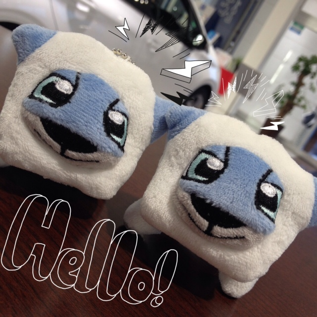 新入り君たち…