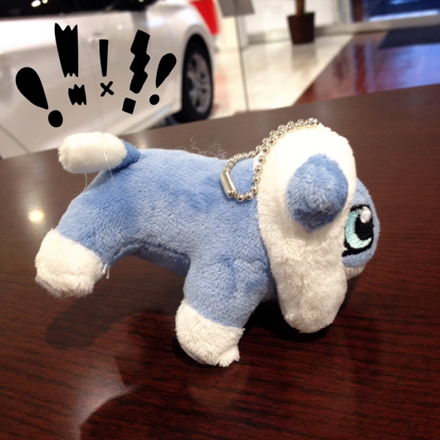 新入り君たち…