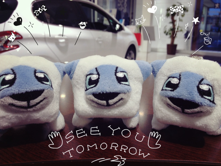 新入り君たち…