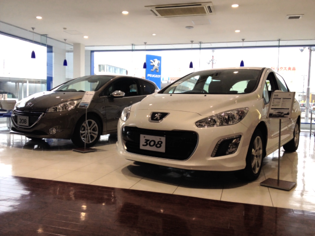 今週の展示車情報！