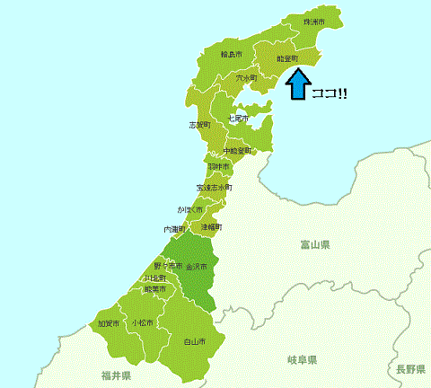 野球遠征