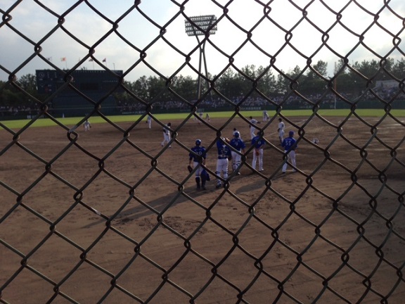 プロ野球観戦