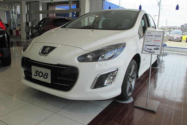 今週の展示車情報