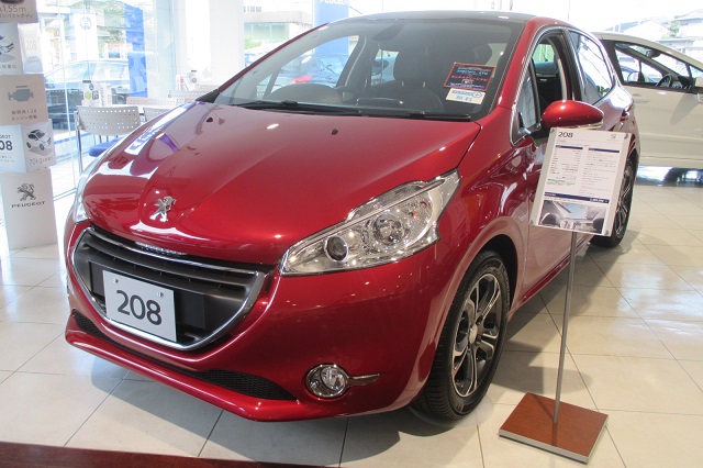 今週の展示車情報