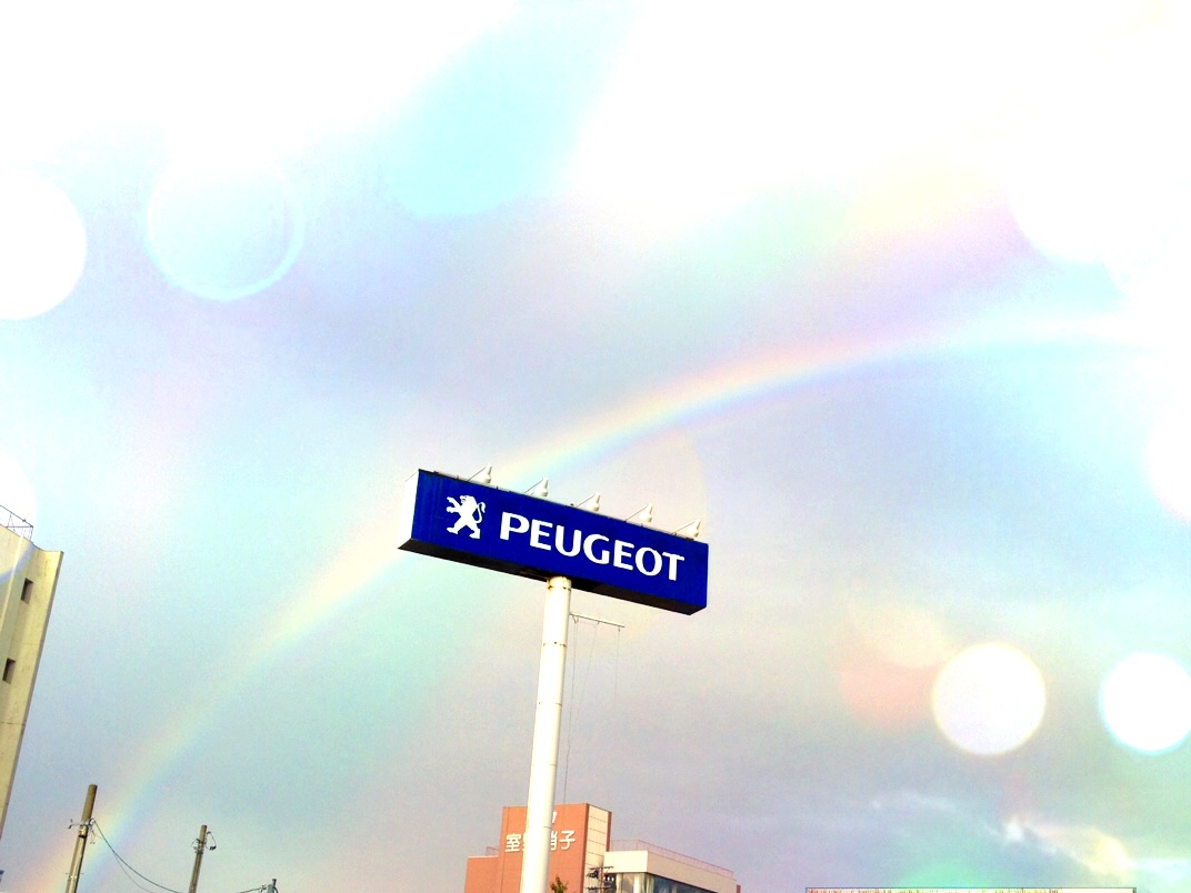 展示車入れ替え