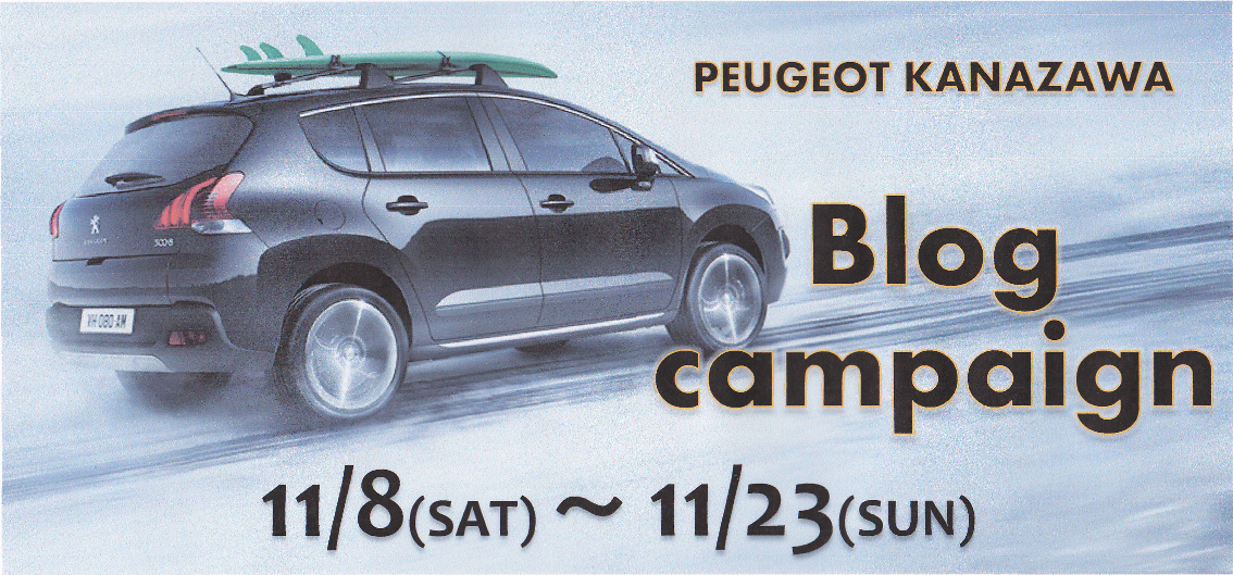 【必読！】ブログ閲覧者様限定キャンペーン