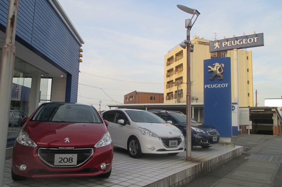 ♪トリコロールカラー♪