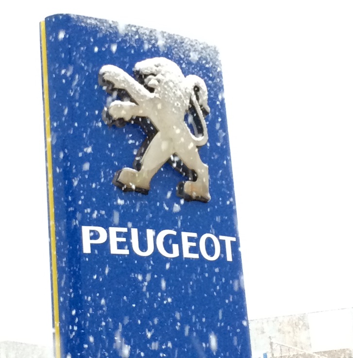 冬ですね・・・