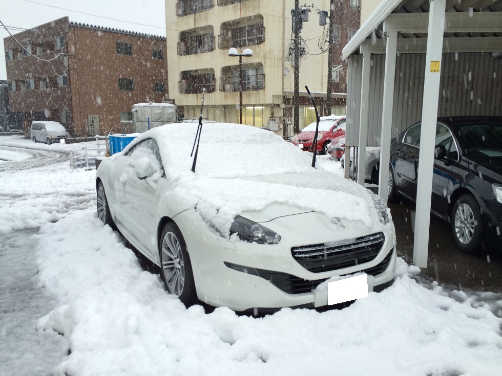 積もりました☃