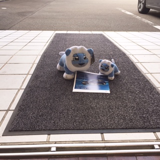 宅配らいおん