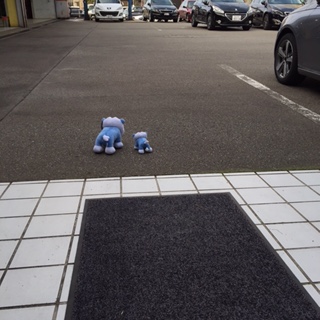 宅配らいおん