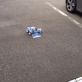 宅配らいおん