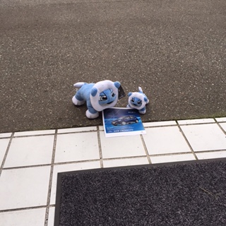 宅配らいおん