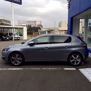 NEW308アルタンスグレー到着！