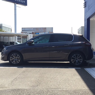 308トルネードグレー到着！