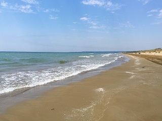 Peugeot208限定車！【Style】