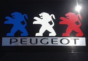 ★PEUGEOT LION MEETING 2015★