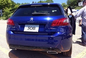 ★PEUGEOT LION MEETING 2015★