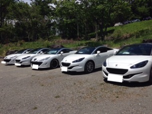 ★PEUGEOT LION MEETING 2015★