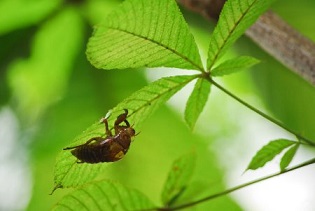 スマホはじめました！PART2