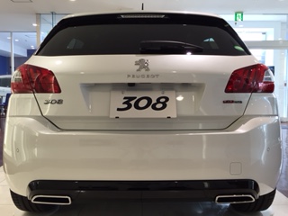 308GT Lineついに到着！