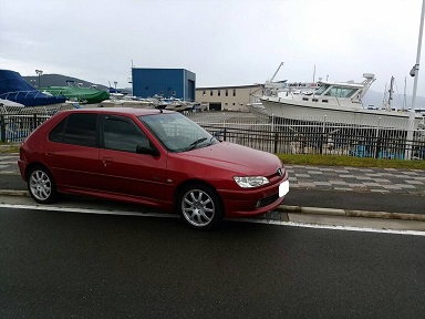 PEUGEOT PICTURE（306）