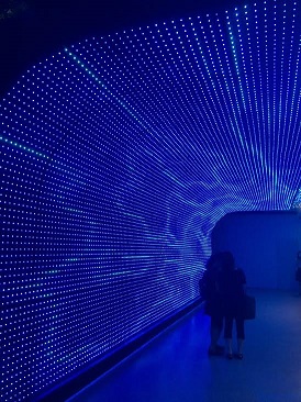 東京トンボ帰り