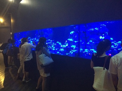 東京トンボ帰り