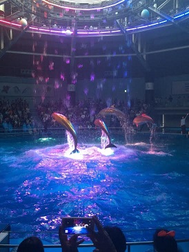 東京トンボ帰り