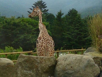 夏季休暇【堀川編】