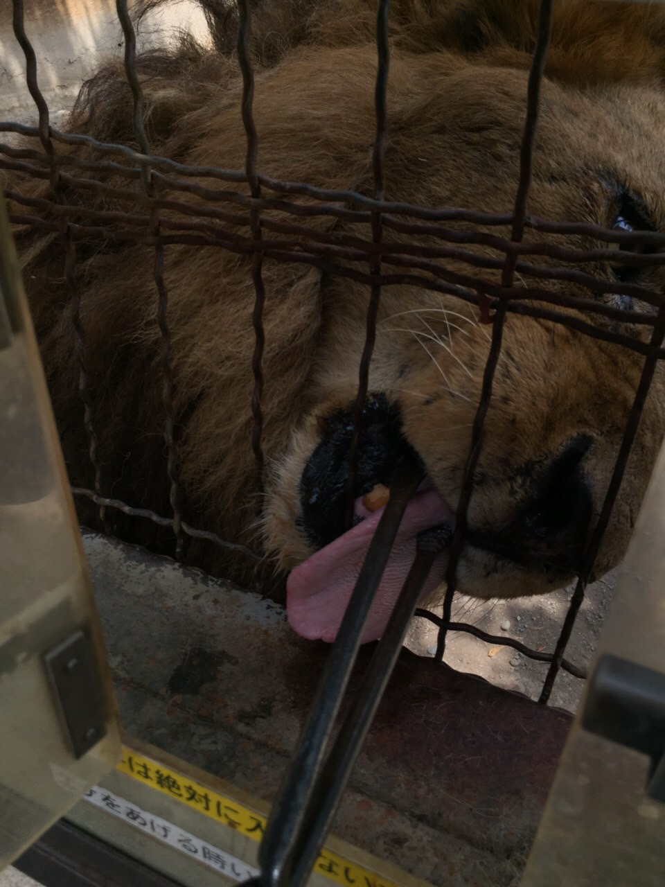 夏季休暇【吉田編】