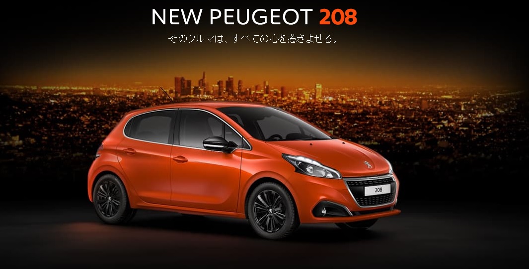 待望のNEW208 Special Site Open！