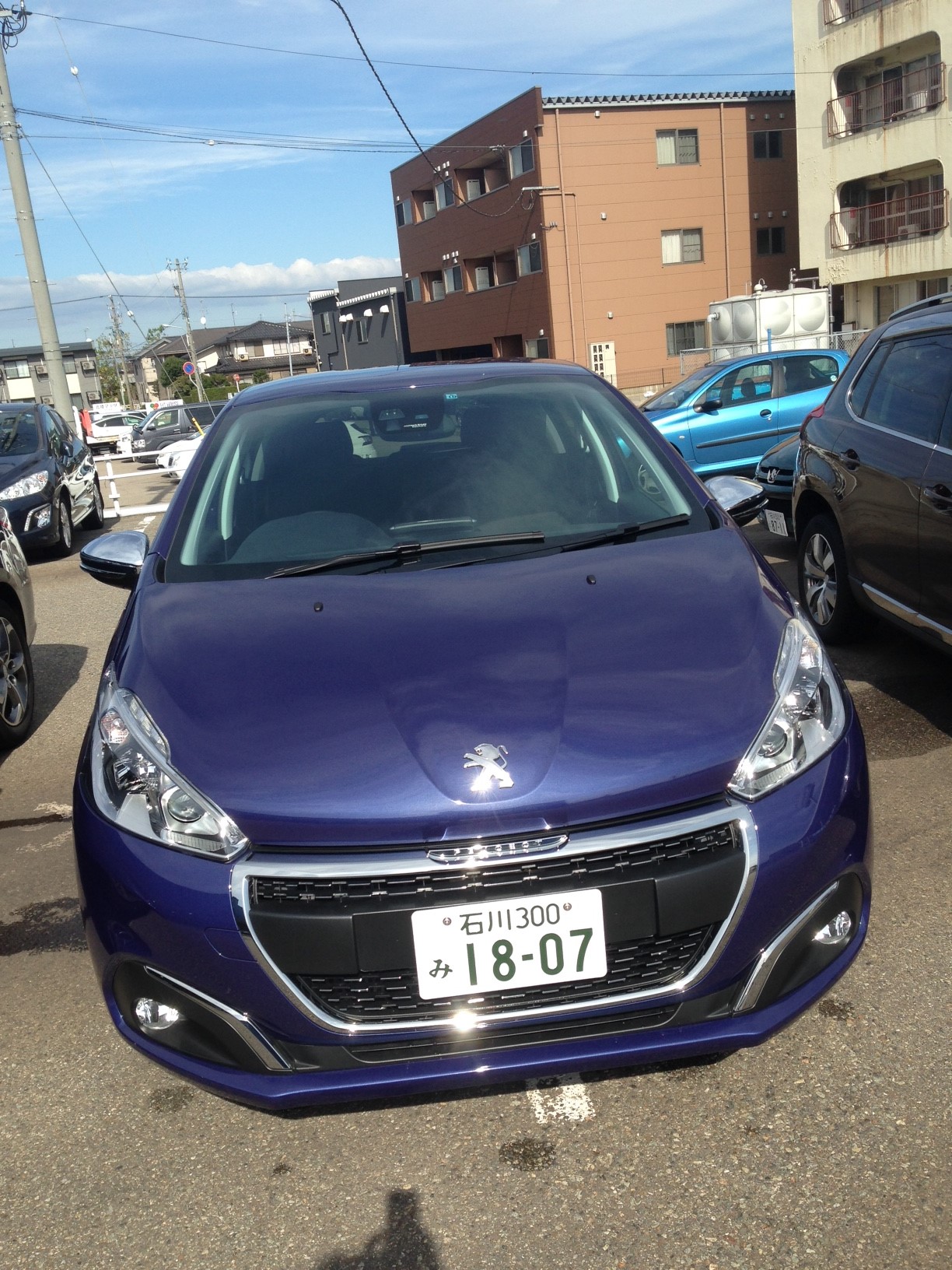 208特別内覧会＆2008Leather Editoinデビューフェア開催中！！
