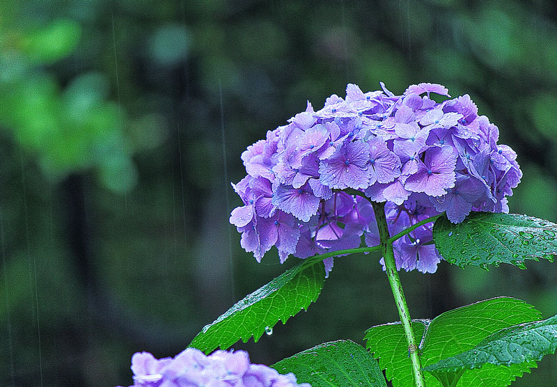 ...雨の日運転...