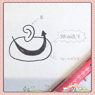 ★　今日の発見　★