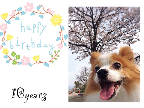 6/16☆HAPPY　Birthday☆