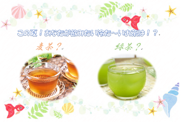 麦茶派？緑茶派？