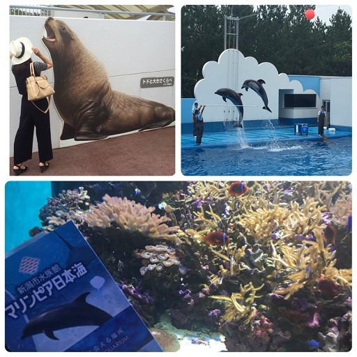 日帰り旅行★新潟編