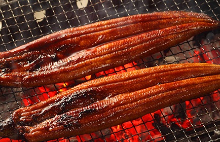 夏の!!土用の丑の日