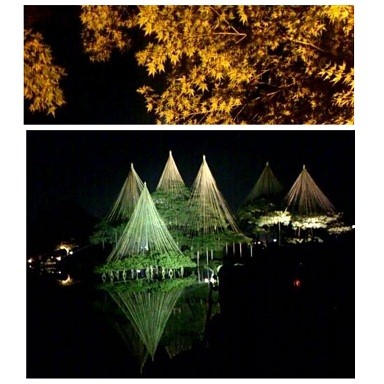 黄葉とライトアップ